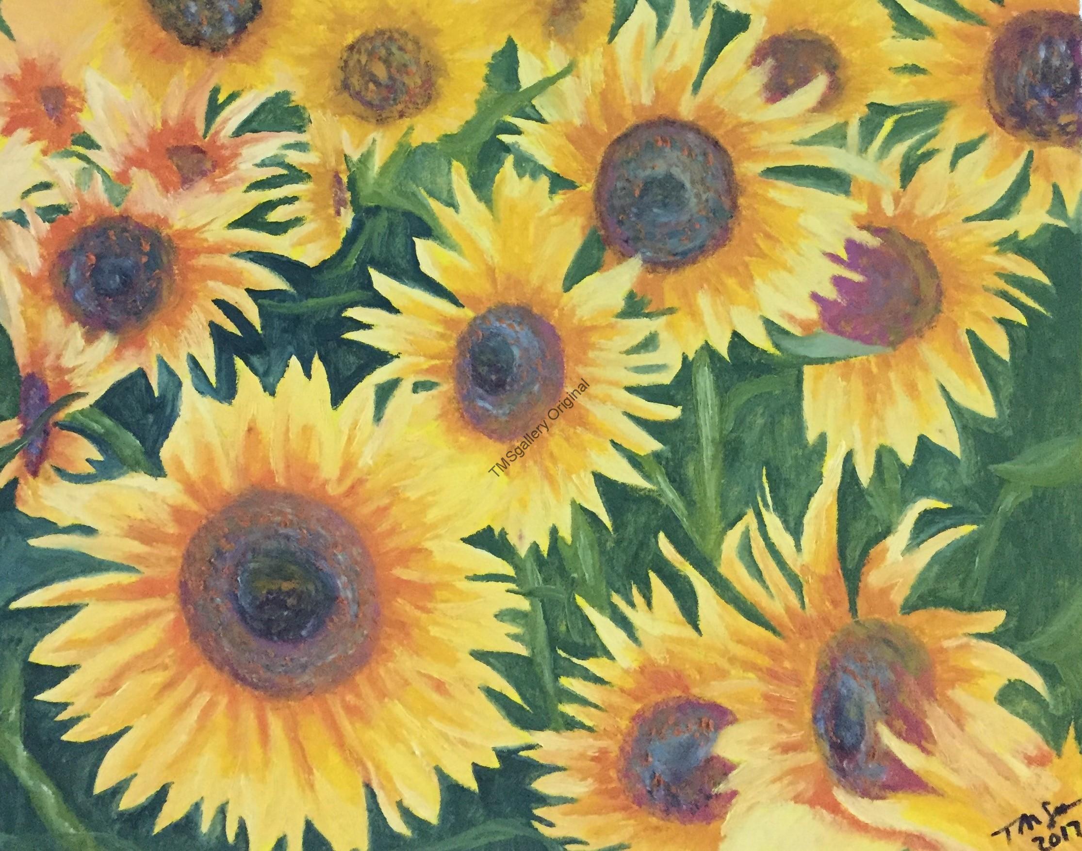 108Sunflowers Shafer's Cleaning Service